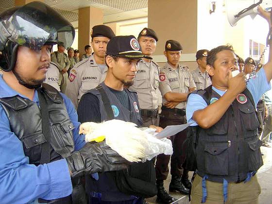 Penyerahan_Ayam_Sayur_Ke_DPRD_Batam.jpg Penyerahan_Ayam_Sayur_Ke_DPRD_Batam.jpg